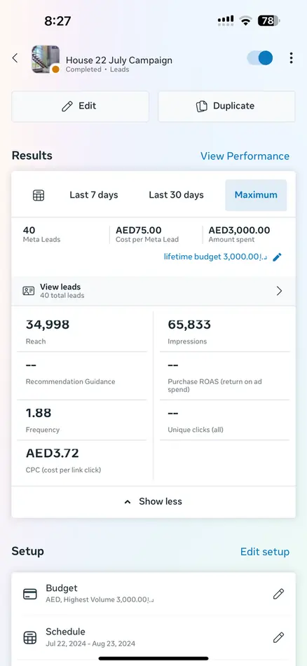 Ads results — lead campaign